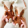 Armando Armadillo
5