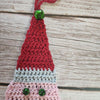 Santa Claus - Ornament
6