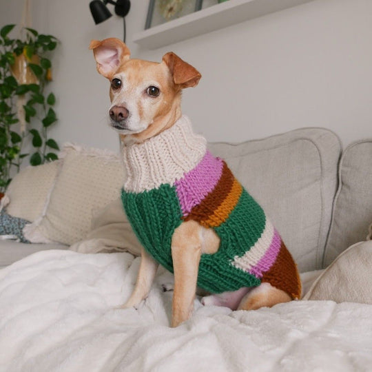 Benson - Dog Sweater
