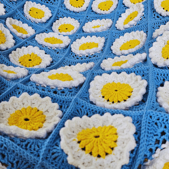 Daisy Land - Blanket
6
