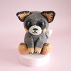 Buddy the Blue Heeler
1