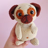 Cookie the Super Pug
4