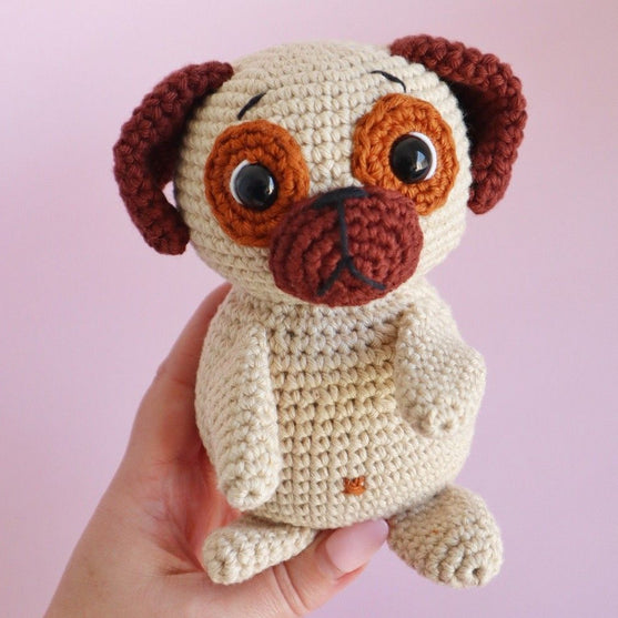 Cookie the Super Pug
4