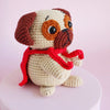 Cookie the Super Pug
3
