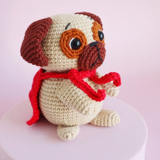 Cookie the Super Pug
3