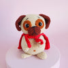 Cookie the Super Pug
2
