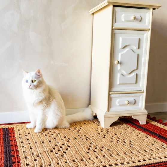 Ballard - Tapis
2