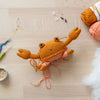 Rachele the Crab
4