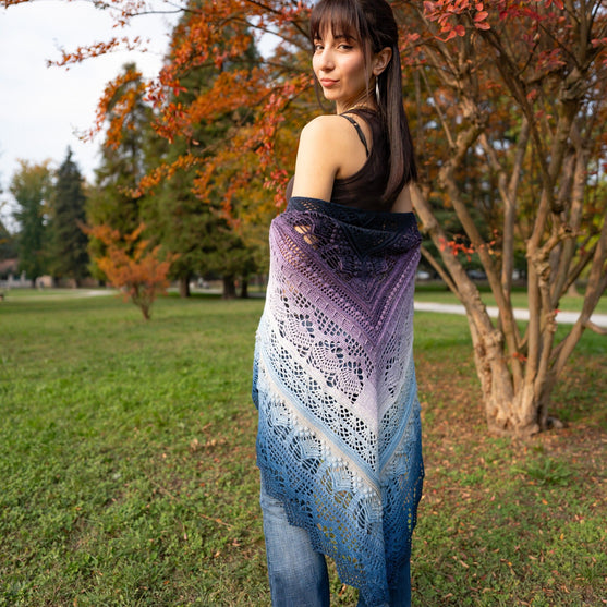 Frozen Iris - Shawl
17