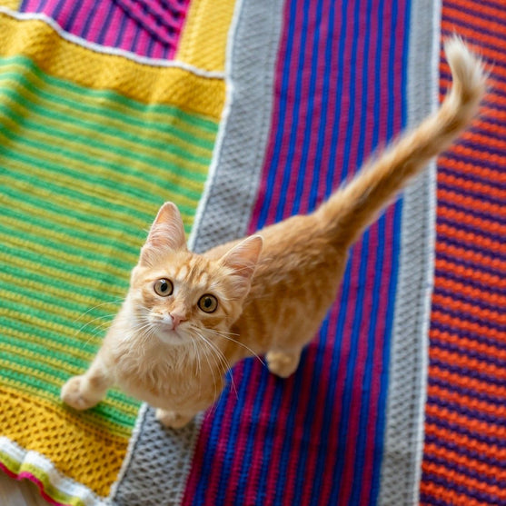 Sunlit Seaside - Blanket
9