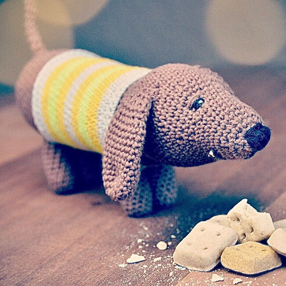 Dagobert le teckel
5