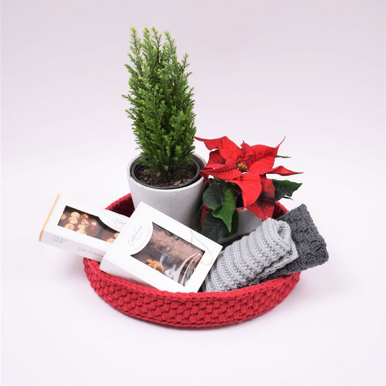 Corbeille décorative  avec fond en cuir rond - Noël
6