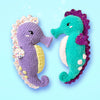 Magical Seahorse
1
