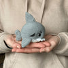 Tommy the little shark
1