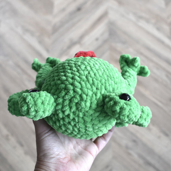 Splashy the Frog
7