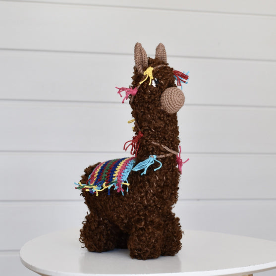 Pico the Alpaca
1
