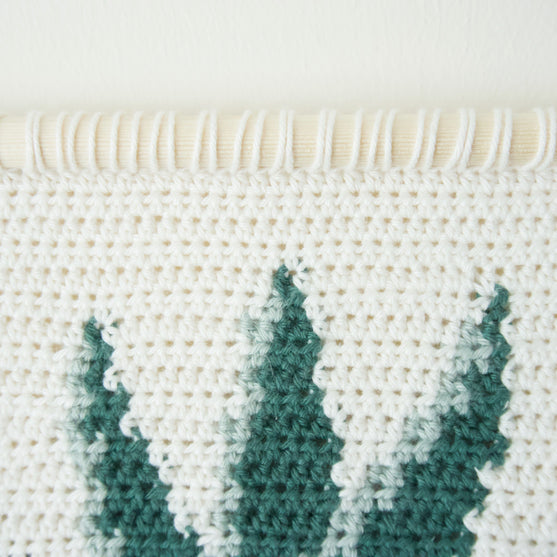 Snake Plant - Hanging
3