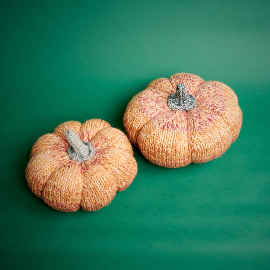 Citrouilles géantes
5