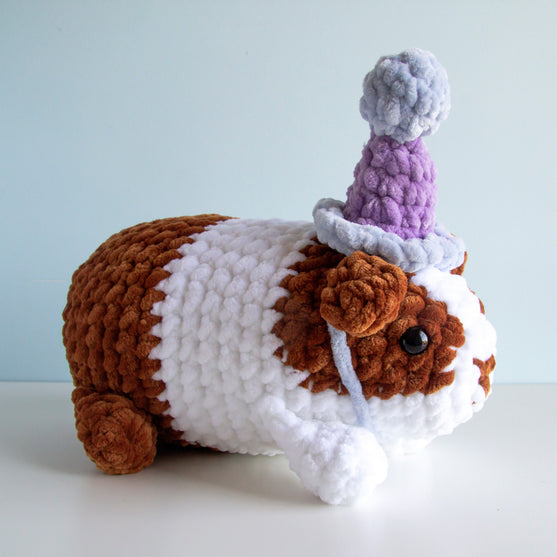 Party Guinea Pig
2
