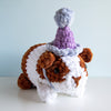 Party Guinea Pig
3