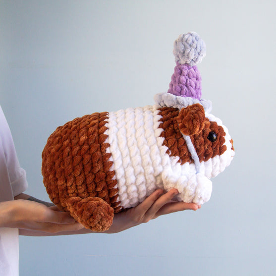 Party Guinea Pig
4