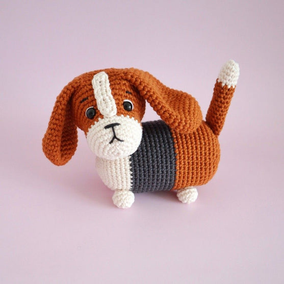 Gus the Basset Hound
1