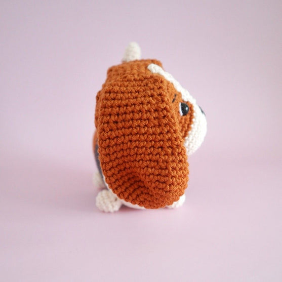 Gus the Basset Hound
3