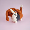 Gus the Basset Hound
5
