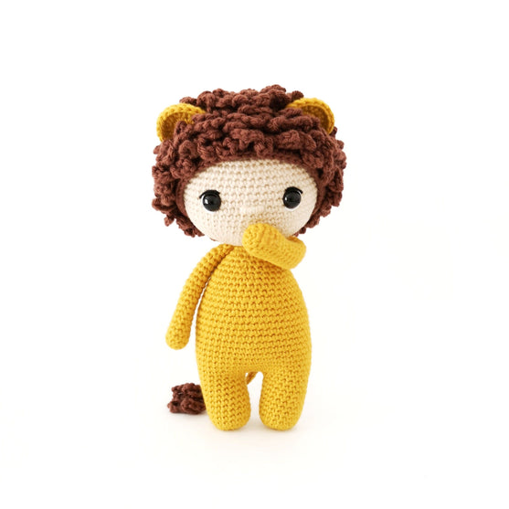 Lion Boy Camp Set
6