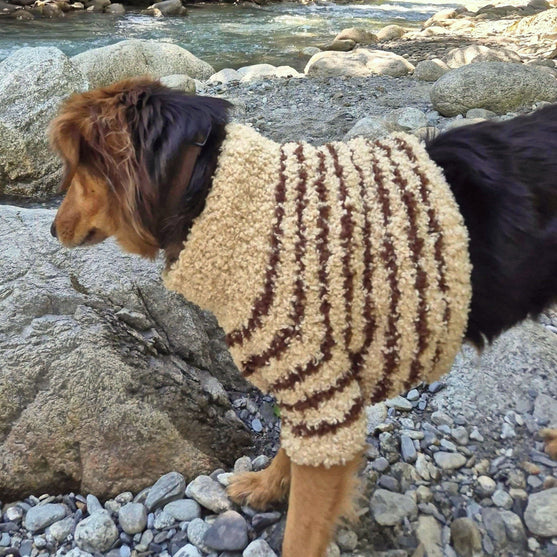 Stevie - Pull pour chien
2