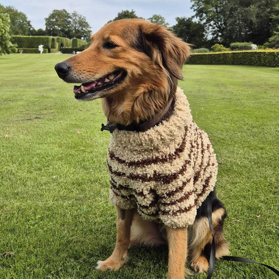 Stevie - Pull pour chien
4