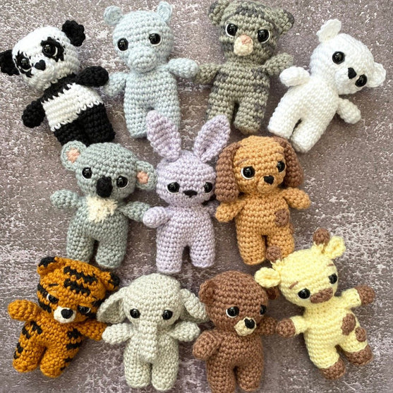 Pocket Friends
2