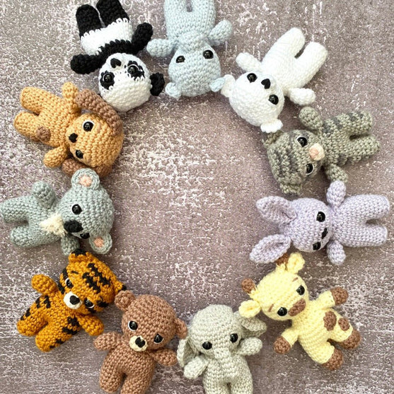 Pocket Friends
3