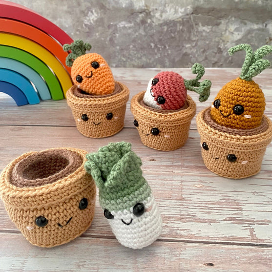 Plants in Pots
1