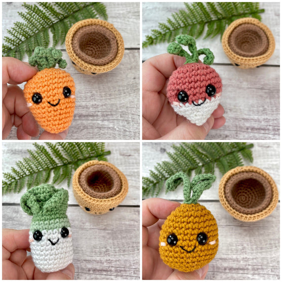 Plants in Pots
3