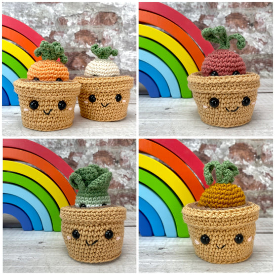 Plants in Pots
4