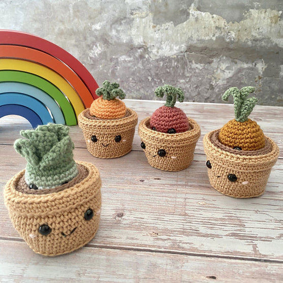 Plants in Pots
2