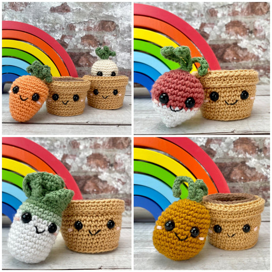 Plants in Pots
5