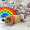 Ringo the Rainbow Dog
1