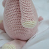 Gunnar the Pig
3