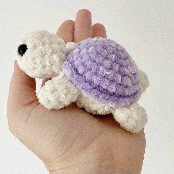 Baby Turtle
3