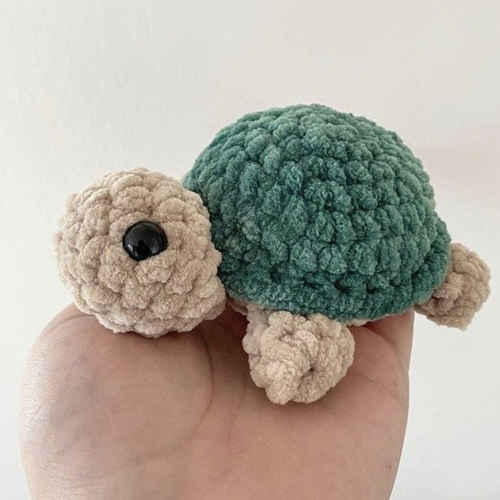 Baby Turtle
1