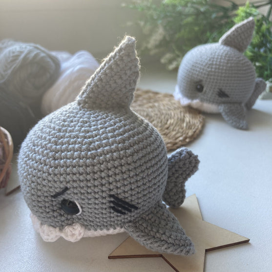 Tommy the little shark
6