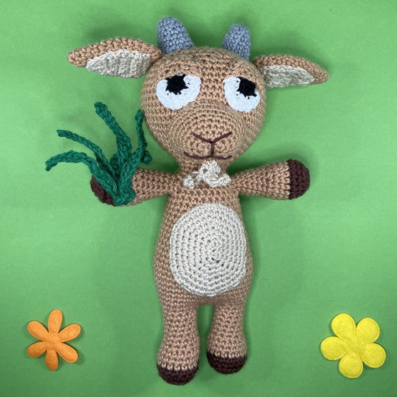 Capricorne - Signe du zodiaque
2