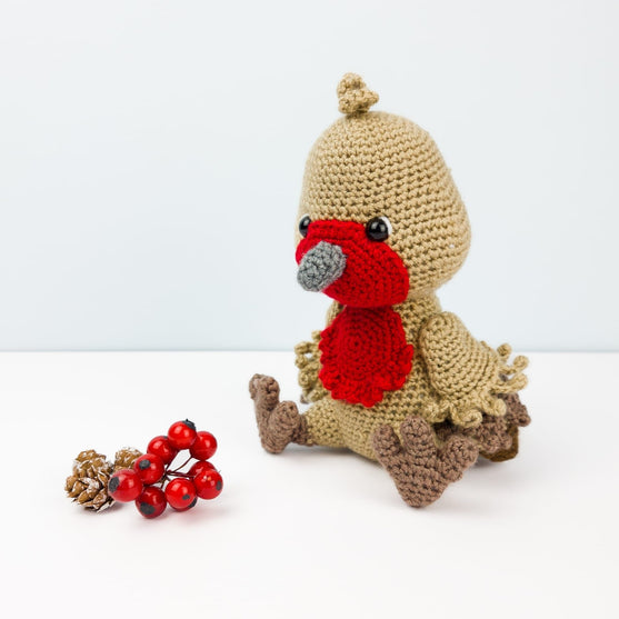 Ruddock the Robin
1