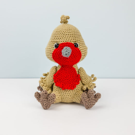 Ruddock the Robin
4