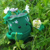Garden Creature
6