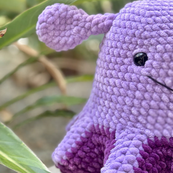 Wade the Umbrella Octopus
3