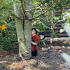 Felix the Fox
5