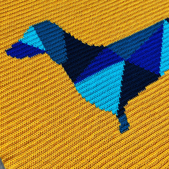 Teckel - Couverture
3